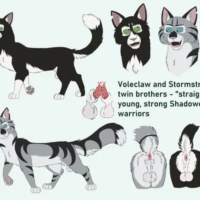 stormstripe (badfurgood), voleclaw (badfurgood) (warriors (book series)) created by badfurgood