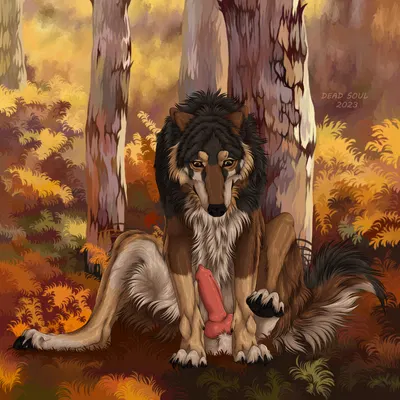 taki (taki-wolf) created by msdeadsoul