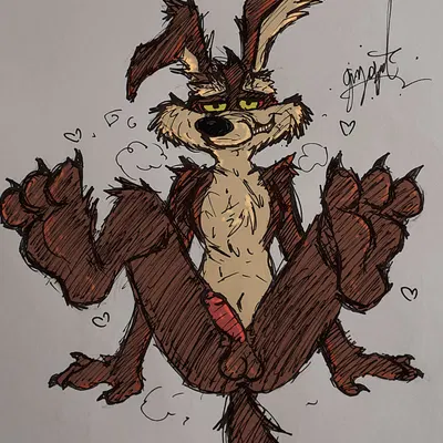 wile e. coyote (looney tunes, warner brothers) created by gaygoat