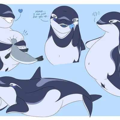 yano (dolphinproject) created by dolphinproject