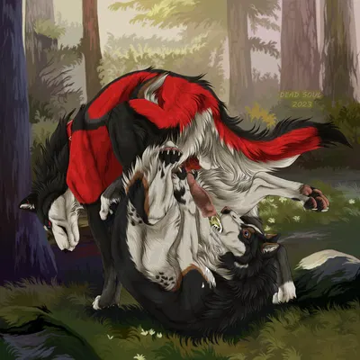 yipsky created by msdeadsoul