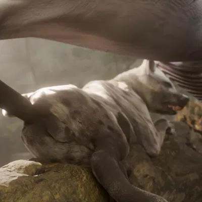 acacia (hiad), baobab (hiad) (patreon) created by hiad