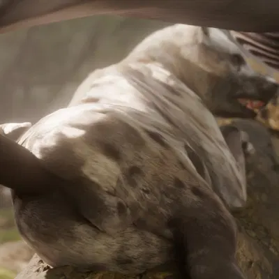 acacia (hiad), baobab (hiad) (patreon) created by hiad