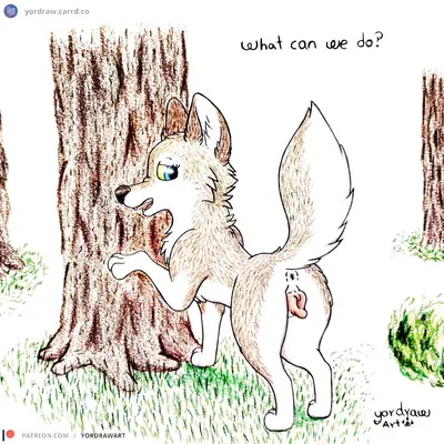 aleu (balto) (balto (series), patreon) created by yordraw