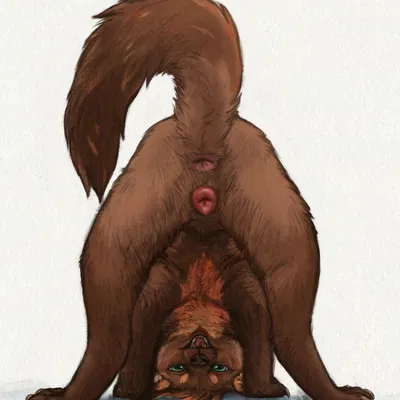 ardere created by difetra