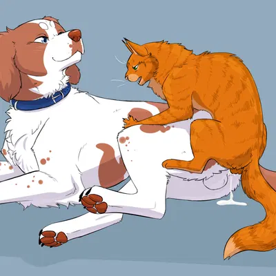 beau (akitoe), firestar (warriors) (warriors (book series)) created by championwhoops (artist)