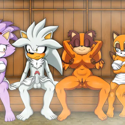 blaze the cat, marine the raccoon, silver the hedgehog (sega, sonic boom) created by the knight
