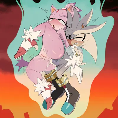 blaze the cat, silver the hedgehog (sega, sonic the hedgehog (series)) created by hereapathy