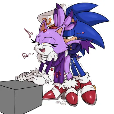 blaze the cat, sonic the hedgehog (sega, sonic the hedgehog (series)) created by guillion
