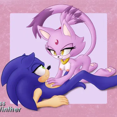 blaze the cat, sonic the hedgehog (sega, sonic the hedgehog (series)) created by misswinther