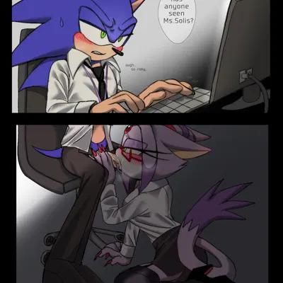 blaze the cat, sonic the hedgehog (sega, sonic the hedgehog (series)) created by yeoon