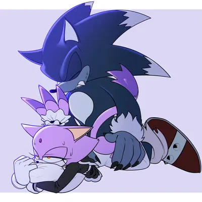 blaze the cat, sonic the hedgehog, sonic the werehog (sega, sonic the hedgehog (series)) created by palegarbo