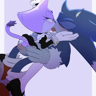 blaze the cat, sonic the hedgehog, sonic the werehog (sega, sonic the hedgehog (series)) created by palegarbo