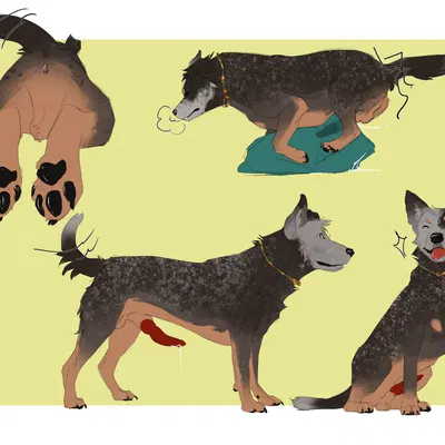 boomer (far cry) created by cocoach3rry