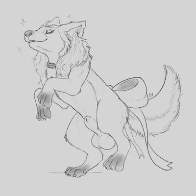 coconut (cokotheschnoot) created by pacapoko