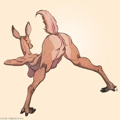 created by arcr-cric