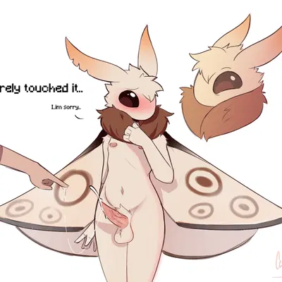 created by ccruelangel