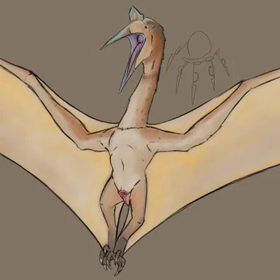 created by deckarddragoon