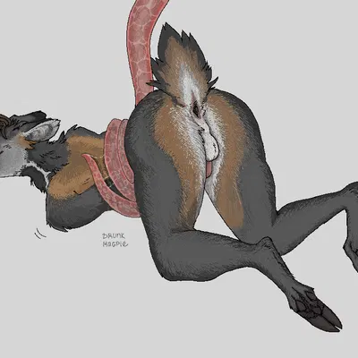 created by drunkmagpie