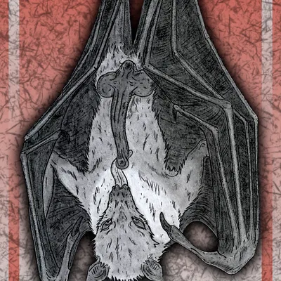 created by eyegis-garr