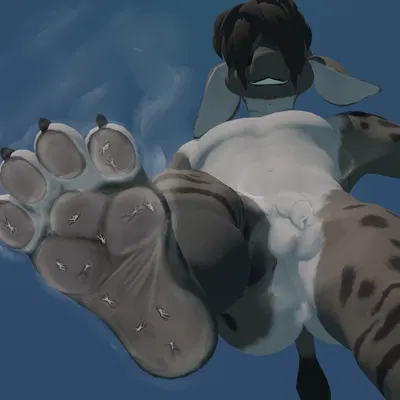 created by hiena yeen