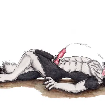 created by kola (artist)