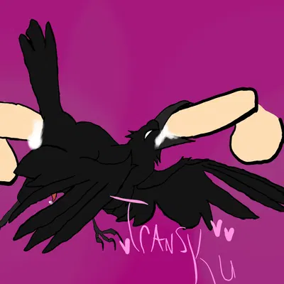 created by kucraft (artist), transku