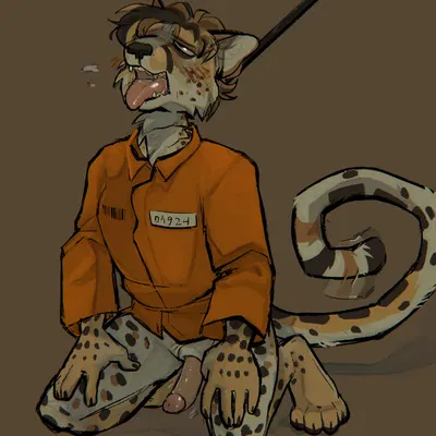 created by openfracturesday