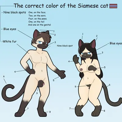 created by pencil bolt