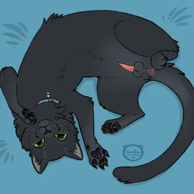 created by polarbearanimation