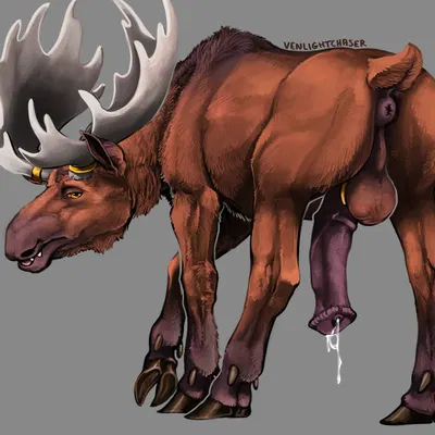 created by venlightchaser