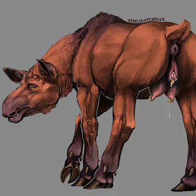 created by venlightchaser