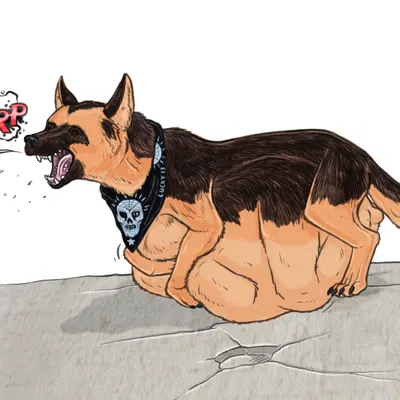 dogmeat (fallout, microsoft) created by strega