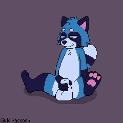 guto raccoon created by gutoraccoon