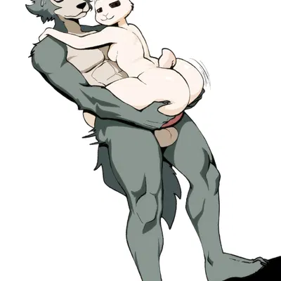 haru (beastars), legoshi (beastars) (beastars) created by apsel bluestar