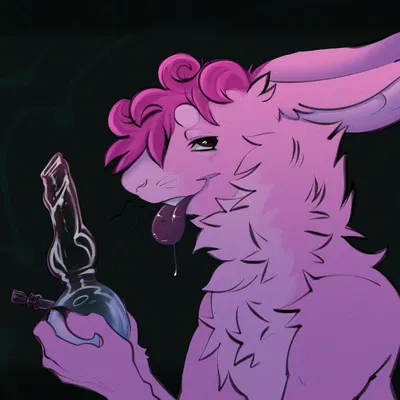 jaxstherabbit (revvy.mp4) created by revvy.mp4