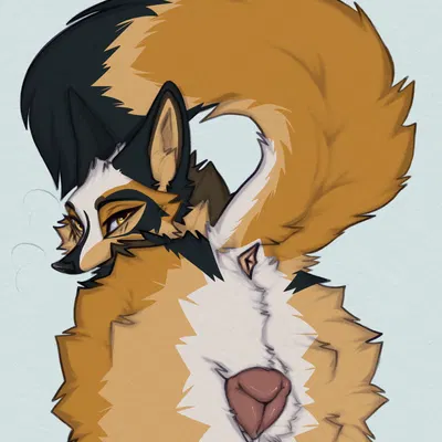 kiba wolfdog created by a.o.kigahara (artist), taka (artist)