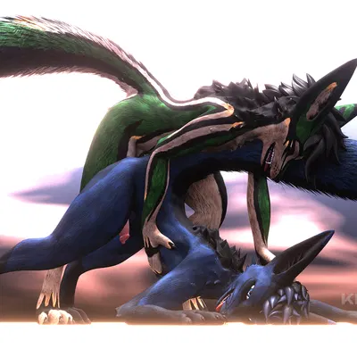 kilobytefox, tofu (captain tofu)