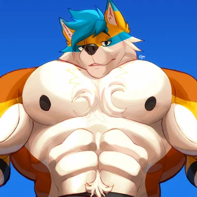 kooper (koopershiba) created by kinaruoopsy