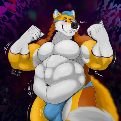 kooper (koopershiba) created by thewolfhug