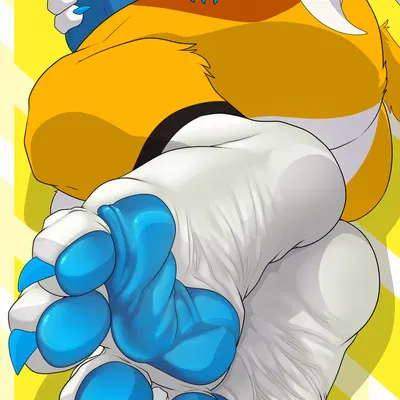 kooper (koopershiba) created by weskers