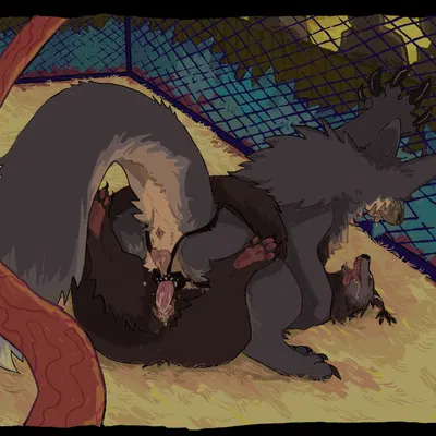 korwin created by guncht