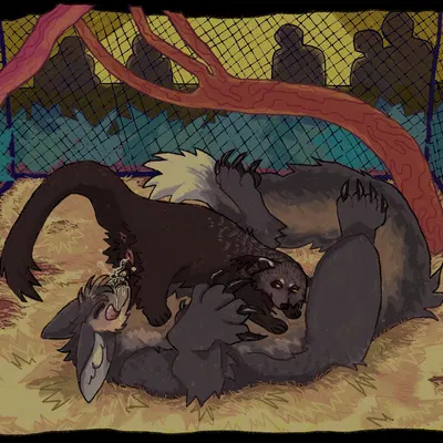 korwin created by guncht