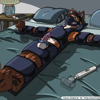 liam (tempestus vulpis) created by kemira