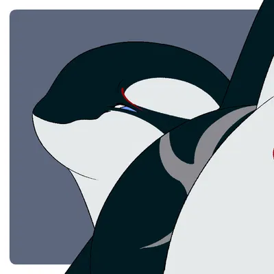 lionel (saltdance) created by dolphinproject, saltdance