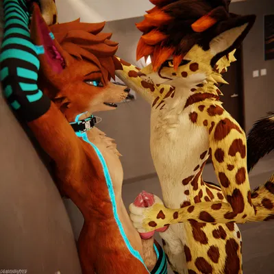 maro lupus, nuki (nuki chusky) created by dragonplayer