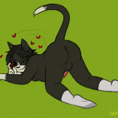 menachem mendel (menchy) rappaport created by greengrizz