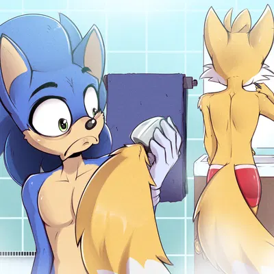 miles prower, sonic the hedgehog (sega, sonic the hedgehog (series)) created by felixf