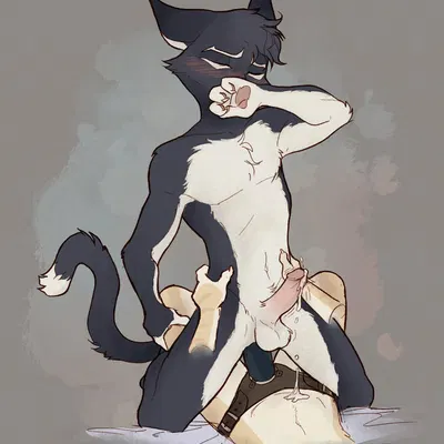 mordecai heller (lackadaisy) created by gryphsins