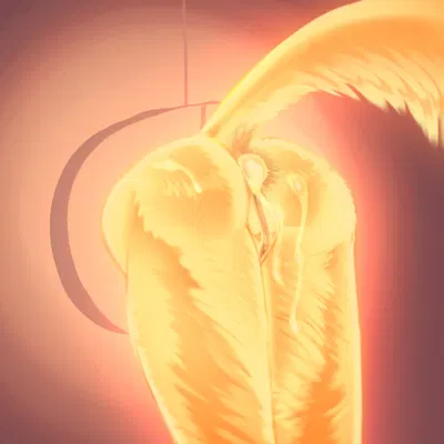 mylar (discreet user) created by discreet user